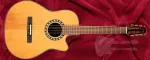 Ovation Pro Series Classic 1773AX-4-G - фото 2