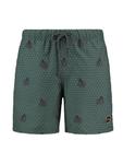 Пляжные шорты Shiwi, цвет Green/Grass Green - фото