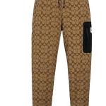 Повседневные брюки мужские COACH, хаки - фото 6