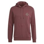 Толстовка Five Ten GFX, красный - фото