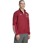 Фанатская куртка Arsenal FC Tiro 23 Adidas, цвет crared - фото 4