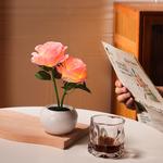 Атмосферные огни The Star God Project - фото 6