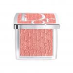 DIOR 2025, Rose Shiny Blush Natural Complexion 4,5г - фото