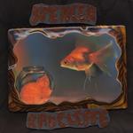 Диск CD Looking In - Spencer Radcliffe - фото