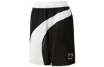 Баскетбольные шорты TEAMWEAR FLARE мужские черные - белые Puma, черный - фото