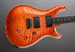Paul Reed Smith Private Stock Custom 24-08 - фото