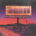 Виниловая пластинка Shallow Pools: I Think About It All The Time - фото