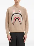 Свитер вязки интарсия A BATHING APE, нейтральный - фото