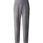 Штаны m 100 glacier pant The North Face, серый - фото