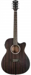 Washburn Deep Forest Ebony ACE - фото
