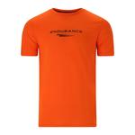 Рубашка Endurance, цвет vitaminorange - фото