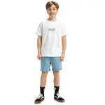 Детская футболка Quiksilver Evo Nature Magic, белый - фото 5