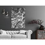 Фреска Artgeist High Trees, черно-белый - фото 2