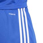 Мужские шорты adidas Squadra 25 - фото 4