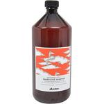 Шампунь Naturaltech Energizing 1000 мл Davines - фото