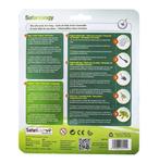 Сафари, жизненный цикл лягушки Safari - фото 4