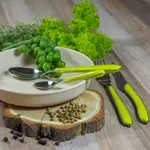 Набор столовых приборов Amefa, зеленый - фото