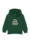 Худи Quiksilver GRAPHIC, Tkr/Dark Green - фото