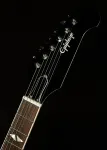 Epiphone Dave Grohl DG-335 Полуакустическая гитара - фото 3