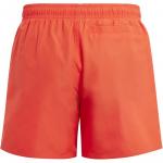 Плавки – классический символ спорта Adidas, мультиколор - фото 2