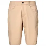 Шорты Oakley Baseline Hybrid 21 2.0, бежевый - фото