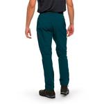 Спортивные брюки Trangoworld Altai SF, зеленый - фото 2