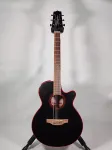 Takamine GF49CE-CB - фото
