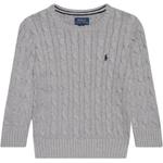 Футболка поло FW22 серая детская Polo Ralph Lauren - фото 2