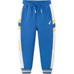 Спортивные брюки для отдыха Arthur's Blue подростковые Asics, Asics Blue - фото