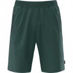 Шорты Фриском Schneider Sportswear, цвет mysticmoss - фото