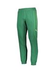 Обычные спортивные штаны PUMA, зеленый - фото