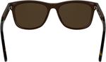 Lacoste мужские солнцезащитные очки, Transparent Dark Brown - фото 5