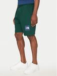 Спортивные шорты обычного кроя Nse Box NF0A8C1J The North Face, зеленый - фото