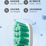 Сменные насадки для зубной щетки Scheng, белый - фото 5