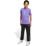 Слоган для шланга из флиса Adidas, черный - фото 4