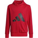 Детская толстовка с капюшоном Essentials Adidas, мультиколор - фото