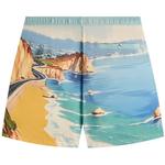 Шорты Kith x Giorgio Armani Malibu Collins Swim Short, Multi - фото 2