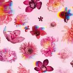 Духи Flowerbomb Viktor & rolf, 50 мл - фото 3