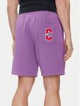 Спортивные шорты Champion, фиолетовый - фото 3