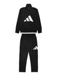 Спортивный костюм ADIDAS SPORTSWEAR, черный - фото