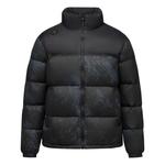 Пуховик Unisex SKI STYLE DESCENTE, PM-бледно-мятный - фото 4