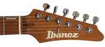 Ibanez EH10-TGM Эрик Хансел Транс Зеленый Матовый - фото 5
