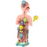 Деревянный механический 3D-пазл Smartivity - Убийца микробов - фото