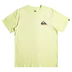 Футболка Quiksilver Eye On Horizon, желтый - фото 3
