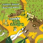CD диск Sweet, Matthew / Hoffs, Susanna: Under The Covers, Vol. 2 - фото