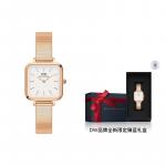 DW/DanielWellington Часы Daniel Wellington Quadro Studio 22mmx22mm, White Dial - фото