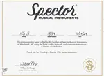 Spector NS-5 Neck Thru - Найтшейд - фото 16