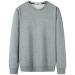 Толстовка мужская Dance with wolves, серый - фото