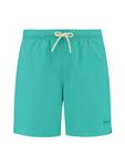 Пляжные шорты Shiwi Mike, Aqua - фото