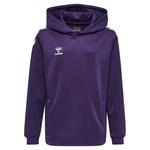 Худи Hummel Core XK Poly, синий - фото